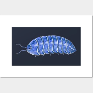 Armadillidium Vulgare- Iridovirus infected Posters and Art